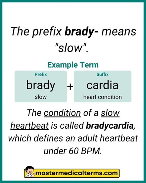 Brady Medical Term Defined