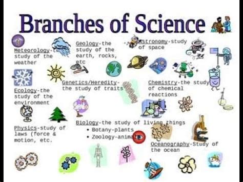 Branches Of Science Did You Know Lesson 3 Youtube