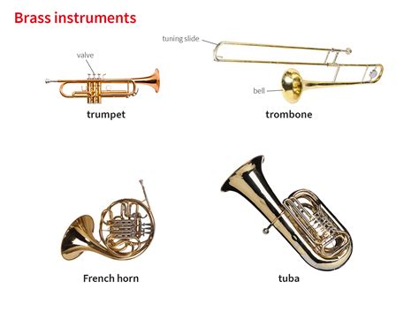 Brass Noun Definition Pictures Pronunciation And Usage Notes