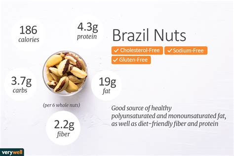 Brazil Nut Nutrition Facts And Health Benefits Brazil Nut Nutrition Facts And Health Benefits
