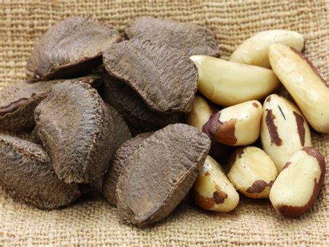 Brazil Nuts Other Name
