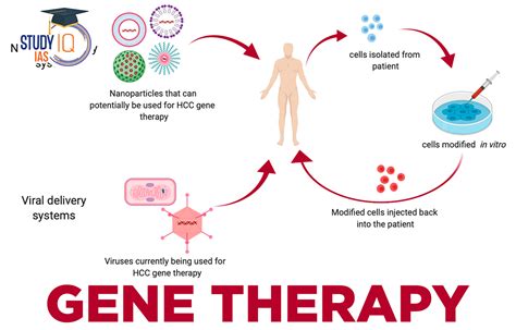Breakthroughs In Medical Science Unleashing The Power Of Gene Therapy Breakthroughs In Medical Science Unleashing The Power Of Gene Therapy
