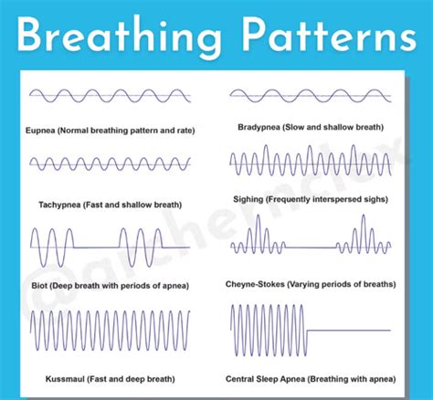 Breathing Flashcards Quizlet