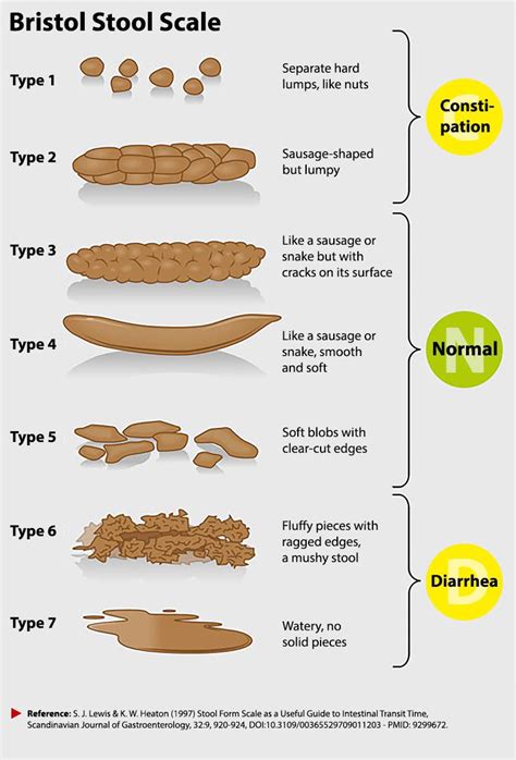 Bristol Stool Chart: The Different Types Of Poop Goodrx, 45% Off
