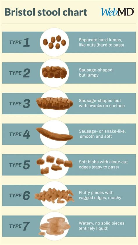 Bristol Stool Chart Types Of Poop And What They Mean Bristol Stool Chart Types Of Poop And What They Mean