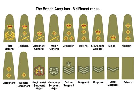British Army Ranks And Insignia