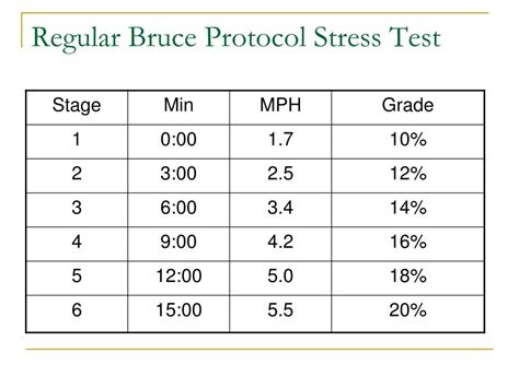 Bruce Protocol Stress Test