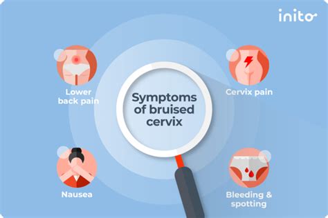 Bruised Cervix The Most Common Causes Of Cervix Trauma University Bruised Cervix The Most Common Causes Of Cervix Trauma University