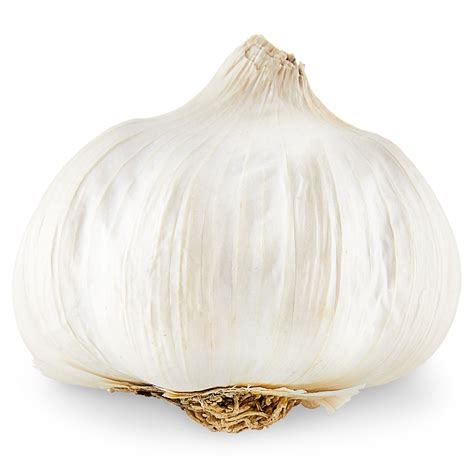 Bulb Of Garlic Weight At Essie Elkins Blog