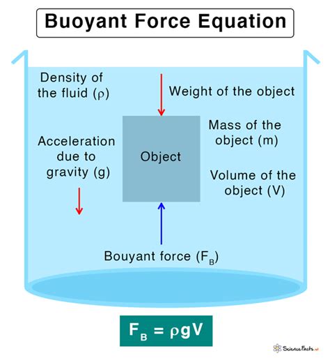 5 Buoyant Force Tips
