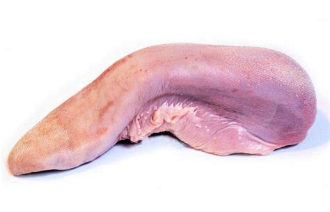 Buy Beef Tongue 1Kg Halal Amp Cleaned Al Modina Super Shop Japan Al