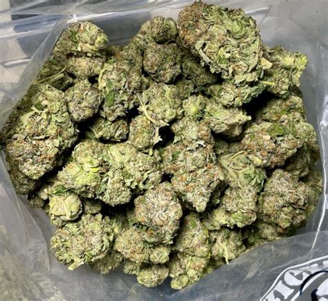 Buy Italian Ice Online Canada Ganja Express