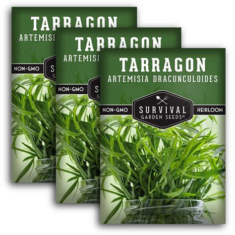 Buy Tarragon Russian Seeds J Parker Amp 39 S Dutch Bulbs