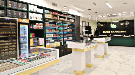 Buzz Cannabis: The Ultimate Guide to Its Benefits and Uses