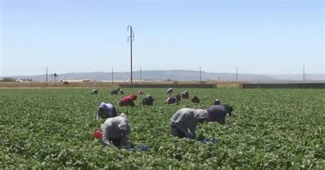 California Storms Are Impacting The Local Grocery Stores Cbs Sacramento