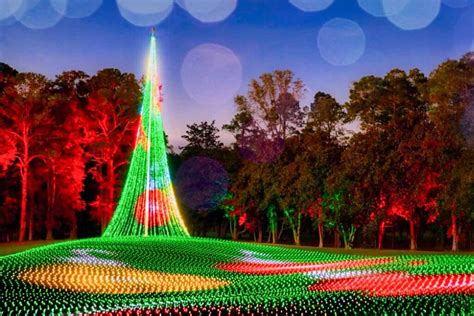 Callaway Gardens Christmas Lights