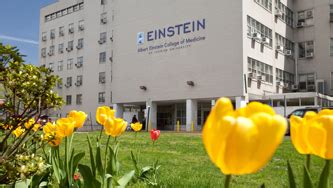 Campus Albert Einstein College Of Medicine Montefiore Einstein