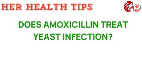Can Amoxicillin Really Combat Yeast Infections The Surprising Truth