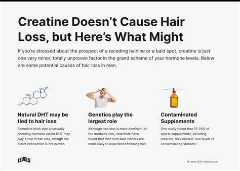 Can Creatine Cause Hair Loss The Manual Can Creatine Cause Hair Loss The Manual