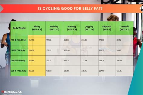 Can Cycling Reduce Belly Fat