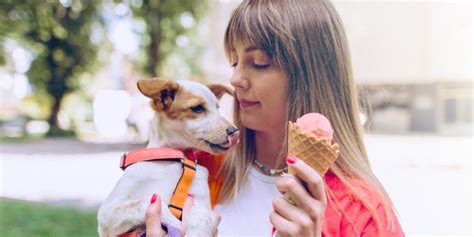 Can Dogs Eat Ice Cream A Guide To Safety Purina Us Can Dogs Eat Ice Cream A Guide To Safety Purina Us
