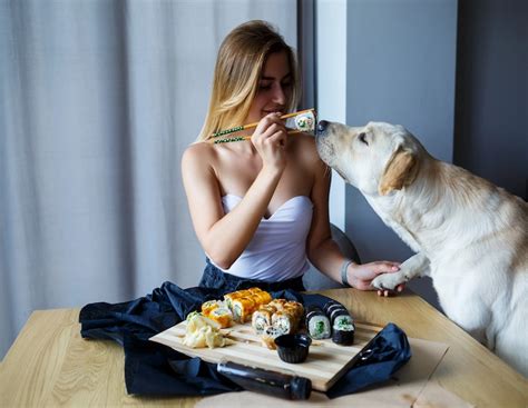 Can Dogs Have Sushi? What Pet Owners Should Know