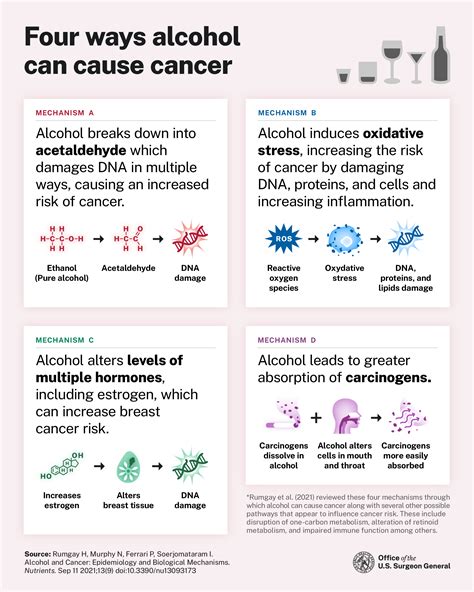 Cancers Caused By Alcohol Rehab Guide