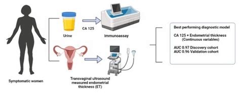 Cancers Free Full Text Diagnostic Potential Of Endometrial Cancer Cancers Free Full Text Diagnostic Potential Of Endometrial Cancer