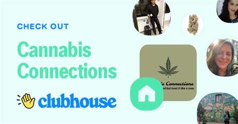 Cannabis Connections In Bellingham