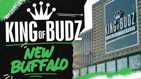 Cannabis Dispensaries 8 Michigan New York Locations King Of Budz