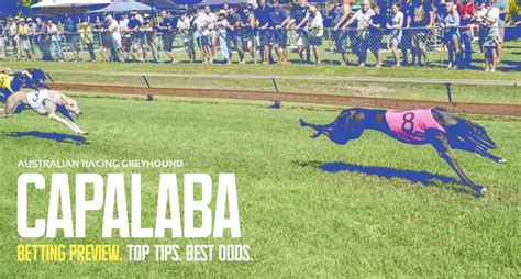 Capalaba Greyhound Racing Tips Amp Best Bets June 22