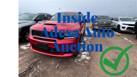 Car Dealer Auction Walkthrough Inside Adesa Auto Auction Deals Youtube