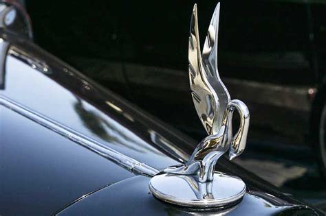 Discover the Unique Design and Features of a Car with Bird Logo