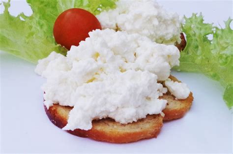 Casein Curds In Stool Everything You Need To Understand And What You
