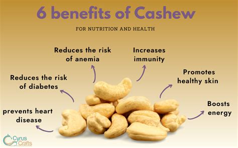 Cashew Health Benefits Side Effects Uses Growing Tips