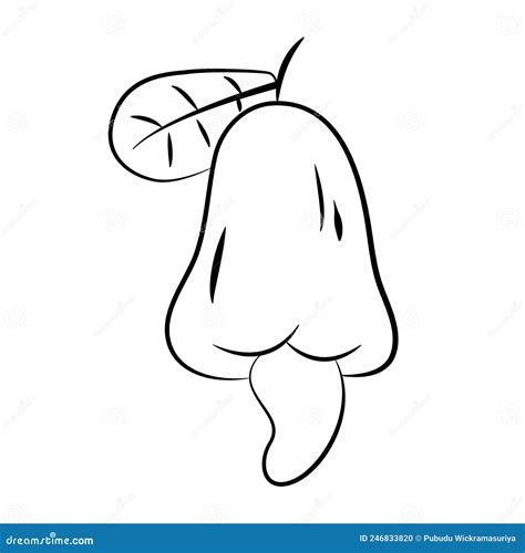 Cashew Nut Line Art Logo Royalty Free Stock Photo Cartoondealer Com