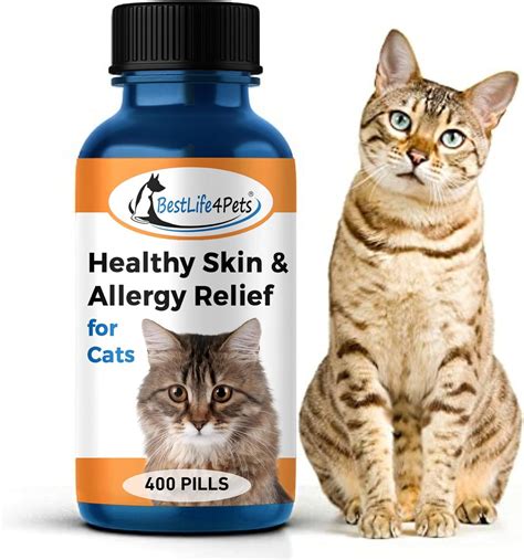 Cat Allergy Medication