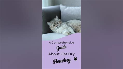 Cat Dry Heaving Causes And How To Prevent It Thatcatblog