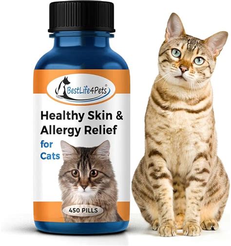 Cat Skin Allergy Relief Cat Skin Dermatitis Cat Medicine
