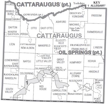 Cattaraugus County New York Facts For Kids