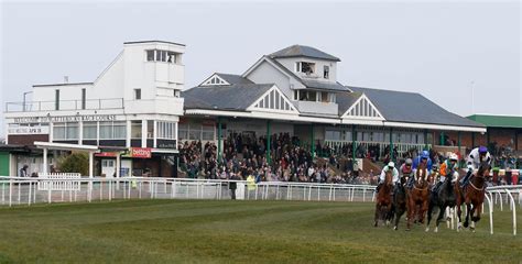Catterick Racecourse Tips 28 11 2022 Sports And Racing News Catterick Racecourse Tips 28 11 2022 Sports And Racing News