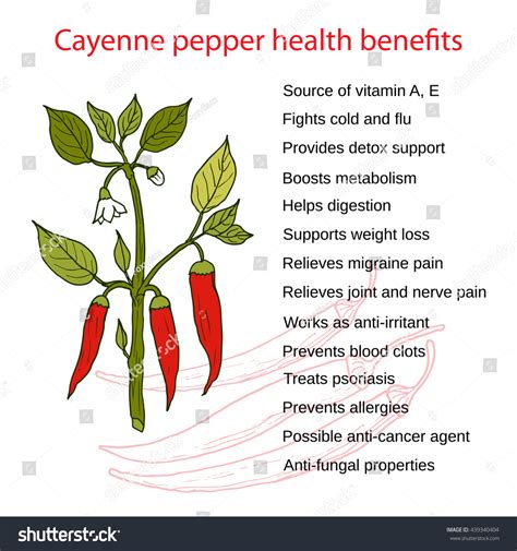 Cayenne Pepper Health Benefits Nutrition And Tips Cayenne Pepper Health Benefits Nutrition And Tips