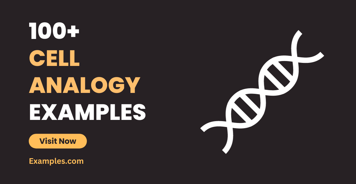 Cell Analogy 100 Examples How To Write Tips