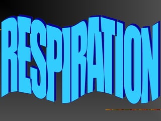 Cellular Respiration Ppt