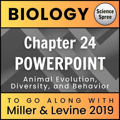 Ch 24 What Is An Animal Ppt Download