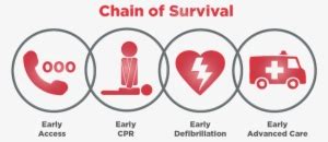 Chain Of Survival 2017 1024X462 Png Download Pngkit Chain Of Survival 2017 1024X462 Png Download Pngkit