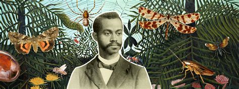 Charles Henry Turner S Insights Into Animal Behaviour Were Ahead Of