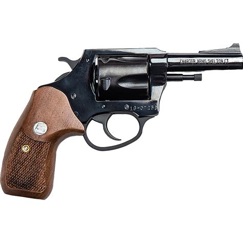 Charter Arms Bulldog 44 Special Double Action Revolver Usa Pawn