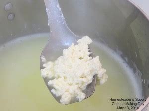 Cheese Making Day 2014 Hs Blog