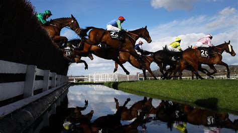 Cheltenham 2024 Tips Live Horse Racing Online Cheltenham 2024 Tips Live Horse Racing Online
